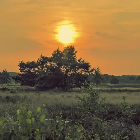Eik Veluwe Nunspeet