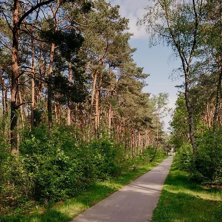Eik Veluwe *